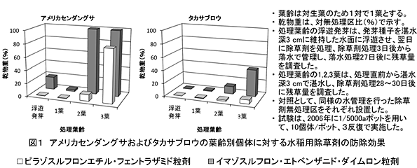 図1 アメリカセンダングサおよびタカサブロウの葉齢別個体に対する水稲用除草剤の防除効果