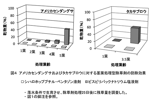 図4  アメリカセンダングサおよびタカサブロウに対する茎葉処理型除草剤の防除効果