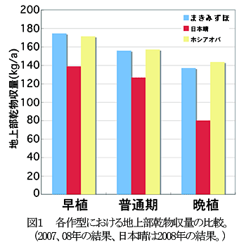 図1 各作型における地上部乾物収量の比較。(2007、08年の結果、日本晴は2008年の結果。)