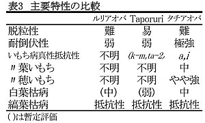 表3 主要特性の比較