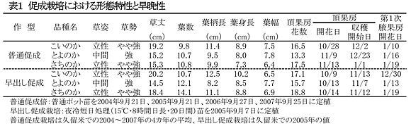 表1 促成栽培における形態特性と早晩性