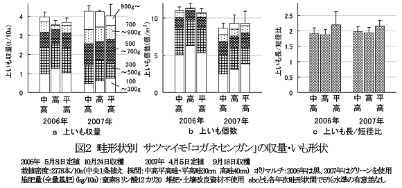 図2 畦形状別 サツマイモ「コガネセンガン」の収量・いも形状