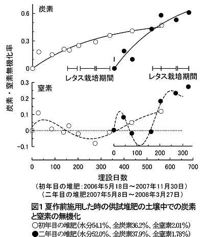 図1 夏作前施用した時の供試堆肥の土壌中での炭素と窒素の無機化