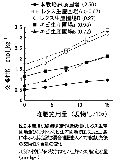図2 本栽培試験圃場(新規造成畑)、レタス生産圃場並びにサトウキビ生産圃場で採取した土壌に牛ふん剪定残さ混合堆肥を入れて培養した後の交換性K 含量の変化