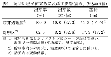 表1 萌芽処理が苗立ちに及ぼす影響(苗床、伏込30日後)