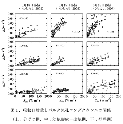 図1.吸収日射量とバルク気孔コンダクタンスの関係