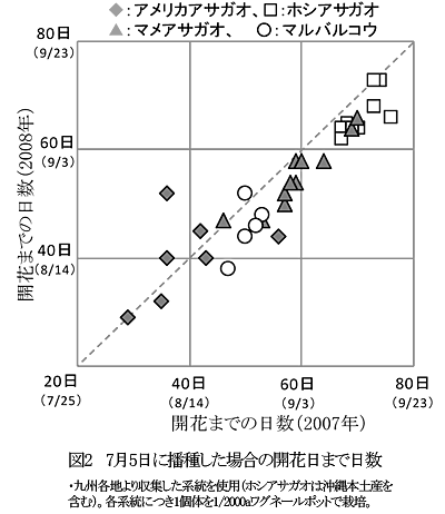 図2 7月5日に播種した場合の開花日まで日数