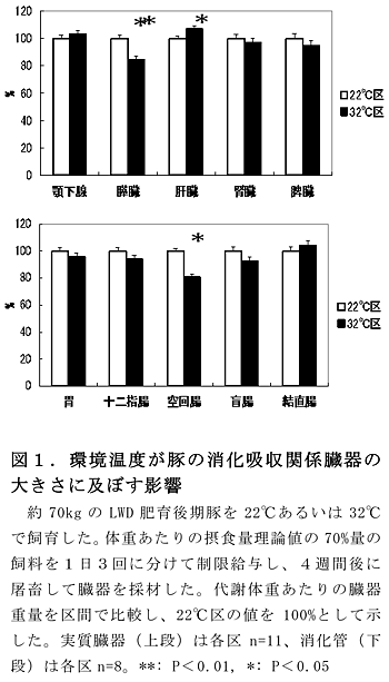 図1.環境温度が豚の消化吸収関係臓器の大きさに及ぼす影響