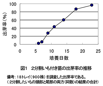 図1 2分割いも付き苗の出芽率の推移