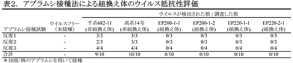 表2.アブラムシ接種法による組換え体のウイルス抵抗性評価