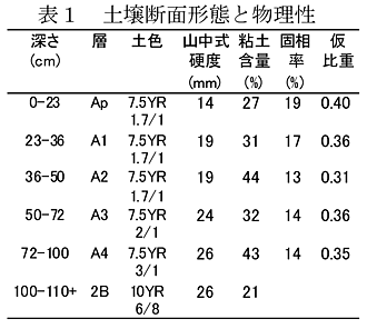 表1 土壌断面形態と物理性