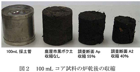 図2 100 mLコア試料の炉乾後の収縮