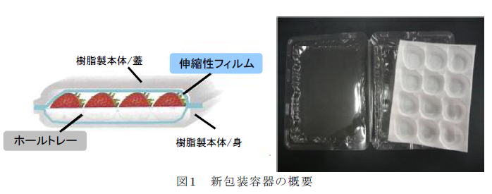 図1 新包装容器の概要