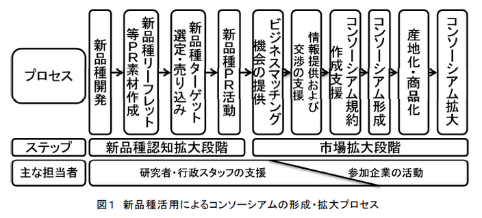 図1 新品種活用によるコンソーシアムの形成・拡大プロセス