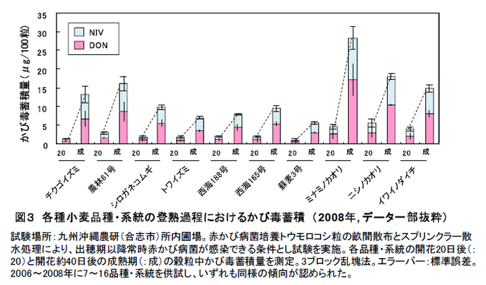 図3 各種小麦品種・系統の登熟過程におけるかび毒蓄積(2008年, データ一部抜粋)