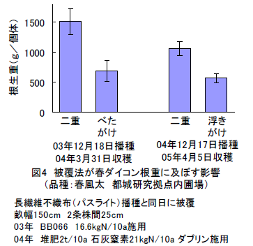 図4 被覆法が春ダイコン根重に及ぼす影響