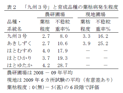 表2 「九州3号」と育成品種の葉枯病発生程度