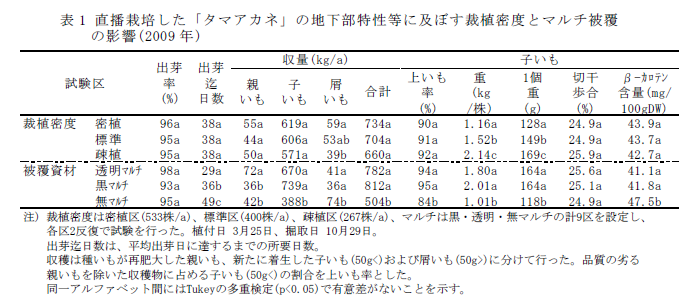 表1 直播栽培した「タマアカネ」の地下部特性等に及ぼす裁植密度とマルチ被覆 の影響(2009 年)