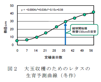 図2 大玉収穫のためのレタスの 生育予測曲線(冬作)