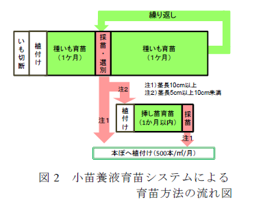 図2 小苗養液育苗システムによる 育苗方法の流れ図