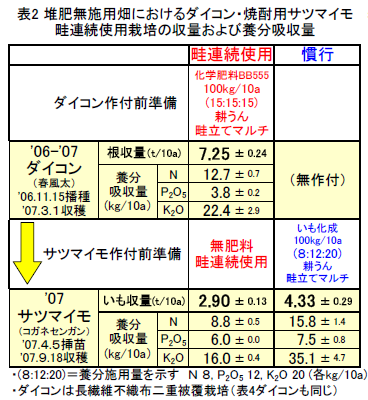 表2 堆肥無施用畑におけるダイコン・焼酎用サツマイモ 畦連続使用栽培の収量および養分吸収量