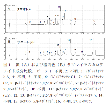 図1 黄(A)および橙肉色(B)サツマイモのカロテ ノイド成分比較