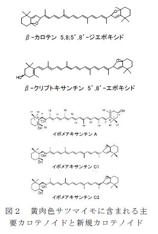 図2 黄肉色サツマイモに含まれる主 要カロテノイドと新規カロテノイド