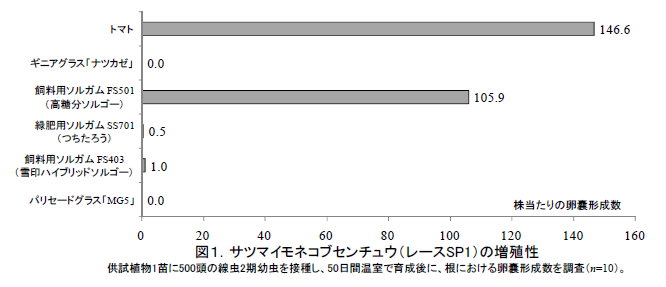 図1.サツマイモネコブセンチュウ(レースSP1)の増殖性