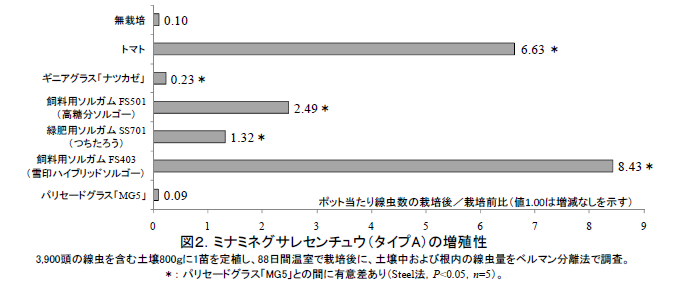 図2.ミナミネグサレセンチュウ(タイプA)の増殖性