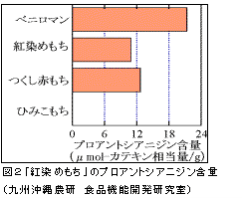 図2 西海糯243号のプロアントシアニジン含量