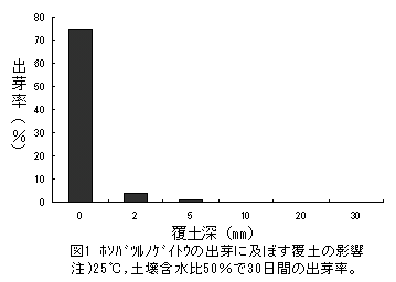 図1 ホソバツルノゲイトウの出芽に及ぼす覆土の影響