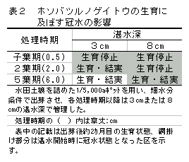 表2 ホソバツルノゲイトウの生育に及ぼす冠水の影響