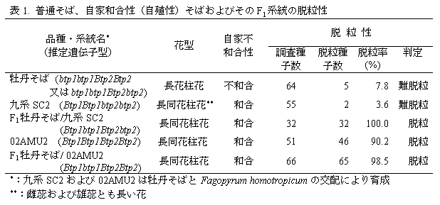 表1. 普通そば、自家和合性(自殖性)そばおよびそのF1 系統の脱粒性