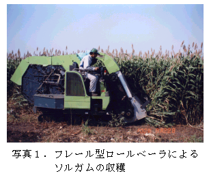 写真1.フレール型ロールベーラによる ソルガムの収穫