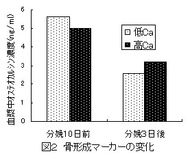 図2 骨形成マーカーの変化
