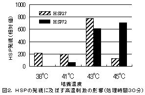 図2.HSPの発現に及ぼす高温刺激の影響