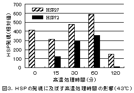 図3.HSPの発現に及ぼす高温処理時間の影響