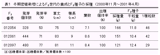 表1 冬期密植栽培によるF2世代の養成とF3種子の採種