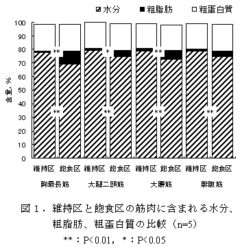 図1.維持区と飽食区の筋肉に含まれる水分、粗脂肪、粗蛋白質の比較