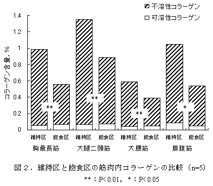 図2.維持区と飽食区の筋肉内コラーゲンの比較