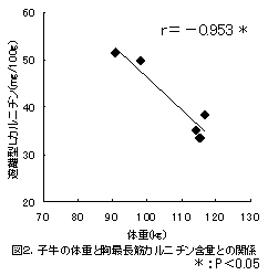 図2.子牛の体重と胸最長筋カルニチン含量との関係