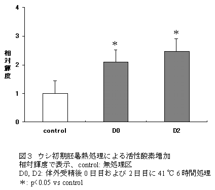 図3 ウシ初期胚暑熱処理による活性酸素増加