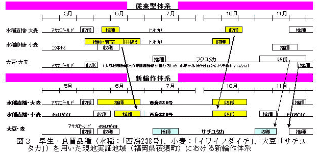 図3 早生・良質品種(水稲:「西海238号」、小麦:「イワイノダイチ」、大豆「サチユタカ」)を用いた現地実証地域(福岡県夜須町)における新輪作体系
