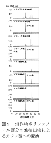 図2 畑作物ポリフェノール画分の麹抽出液によるカフェ酸への変換