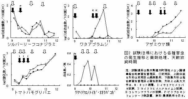 図2 試験ほ場における各種害虫の発生推移と薬剤処理,天敵放飼時期