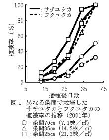 図1 異なる条間で栽培したサチユタカとフクユタカの植被率の推移