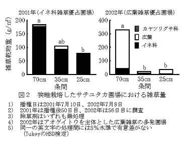 図2 狭畦栽培したサチユタカ圃場における雑草量