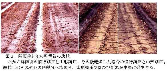 図3.降雨後とその乾燥後の比較