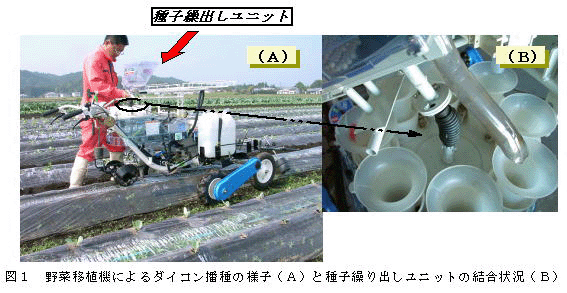 図1 野菜移植機によるダイコン播種の様子(A)と種子繰り出しユニットの結合状況(B)