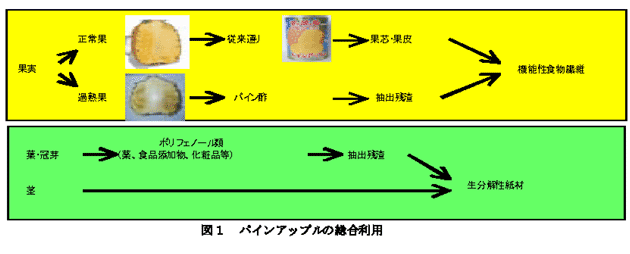 図1 パインアップルの総合利用